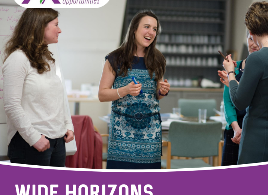 Wide Horizons - Getting in to a job that makes a difference (funded program - Elgin - July)