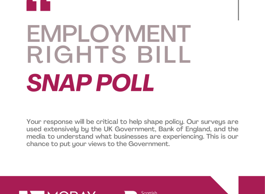 Employment Rights Bill - Snap Poll