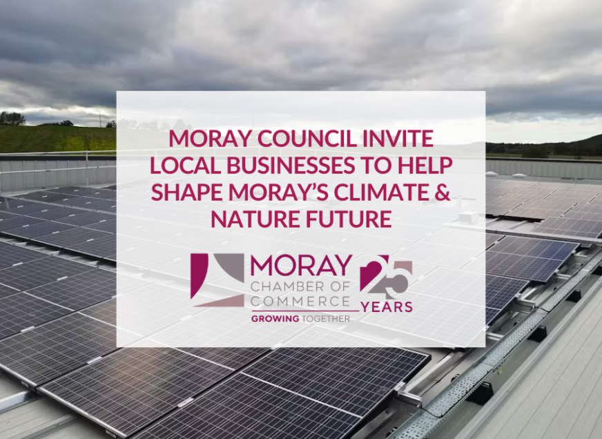 Encouraging Local Businesses to Shape Climate & Nature Strategy