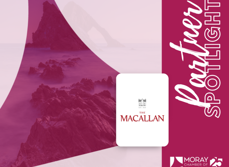 TimeSpirit Celebrates Its First Anniversary