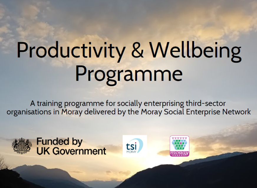 Productivity & Wellbeing Programme