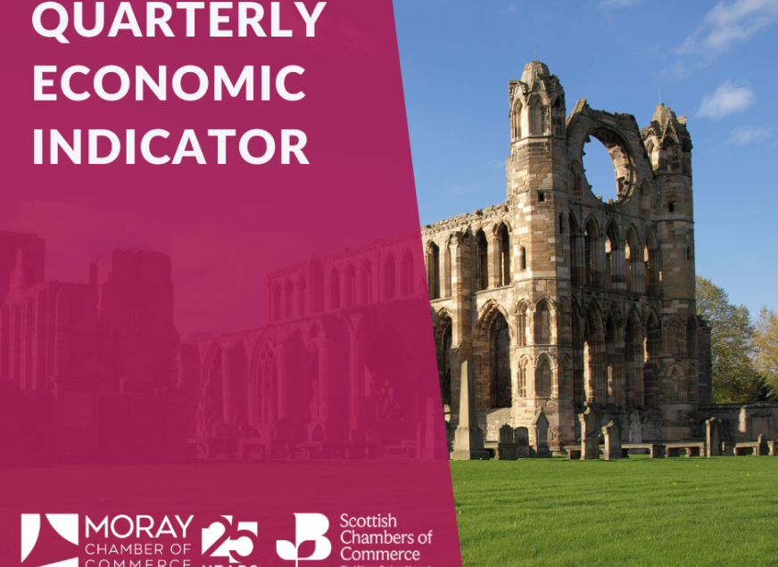 The Quarterly Economic Indicator (QEI) for Q1 2026 is Now Live