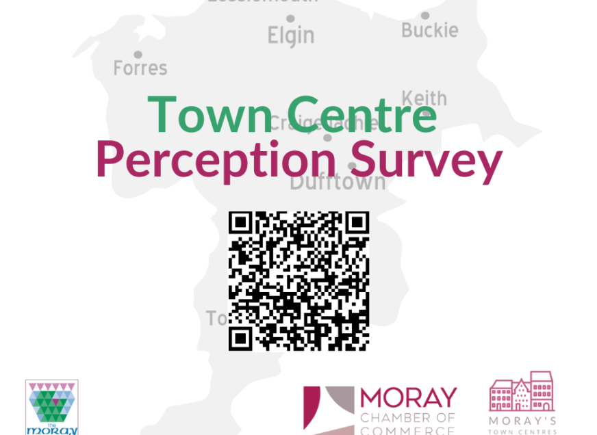 Town Centre Perception Survey
