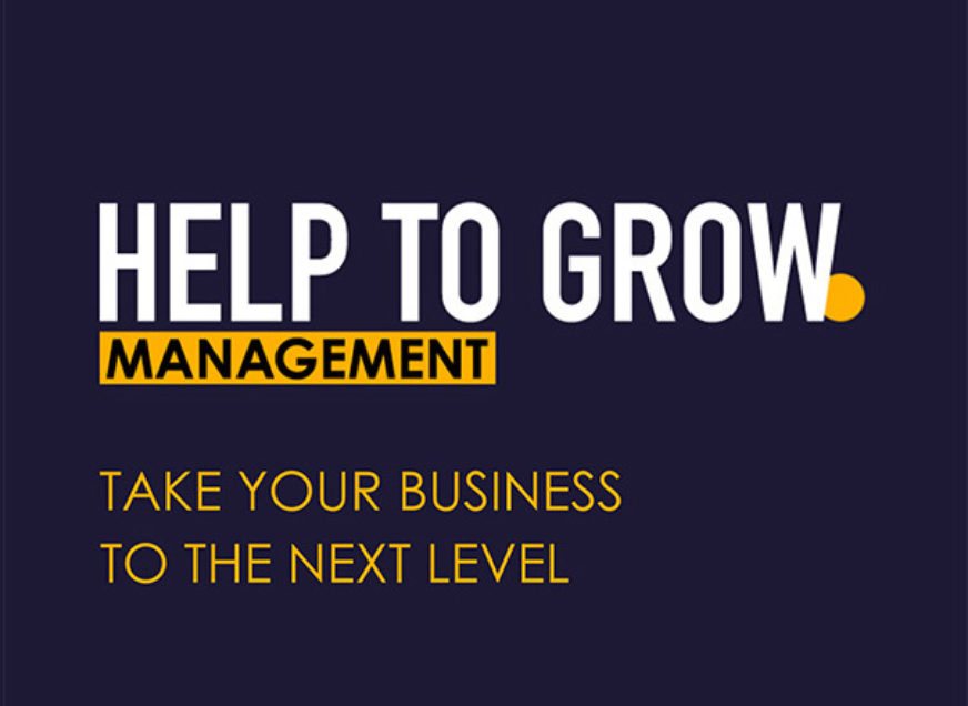 Help to Grow: Management Course